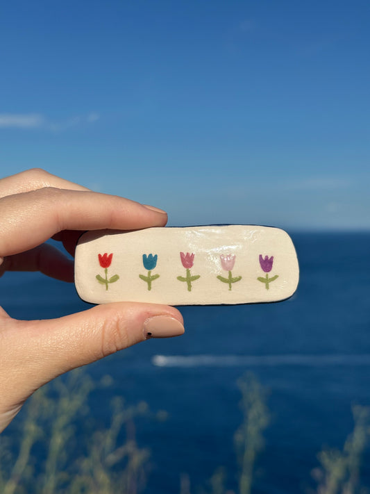 Varie clips per capelli